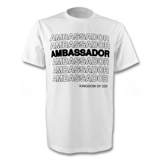 Ambassador